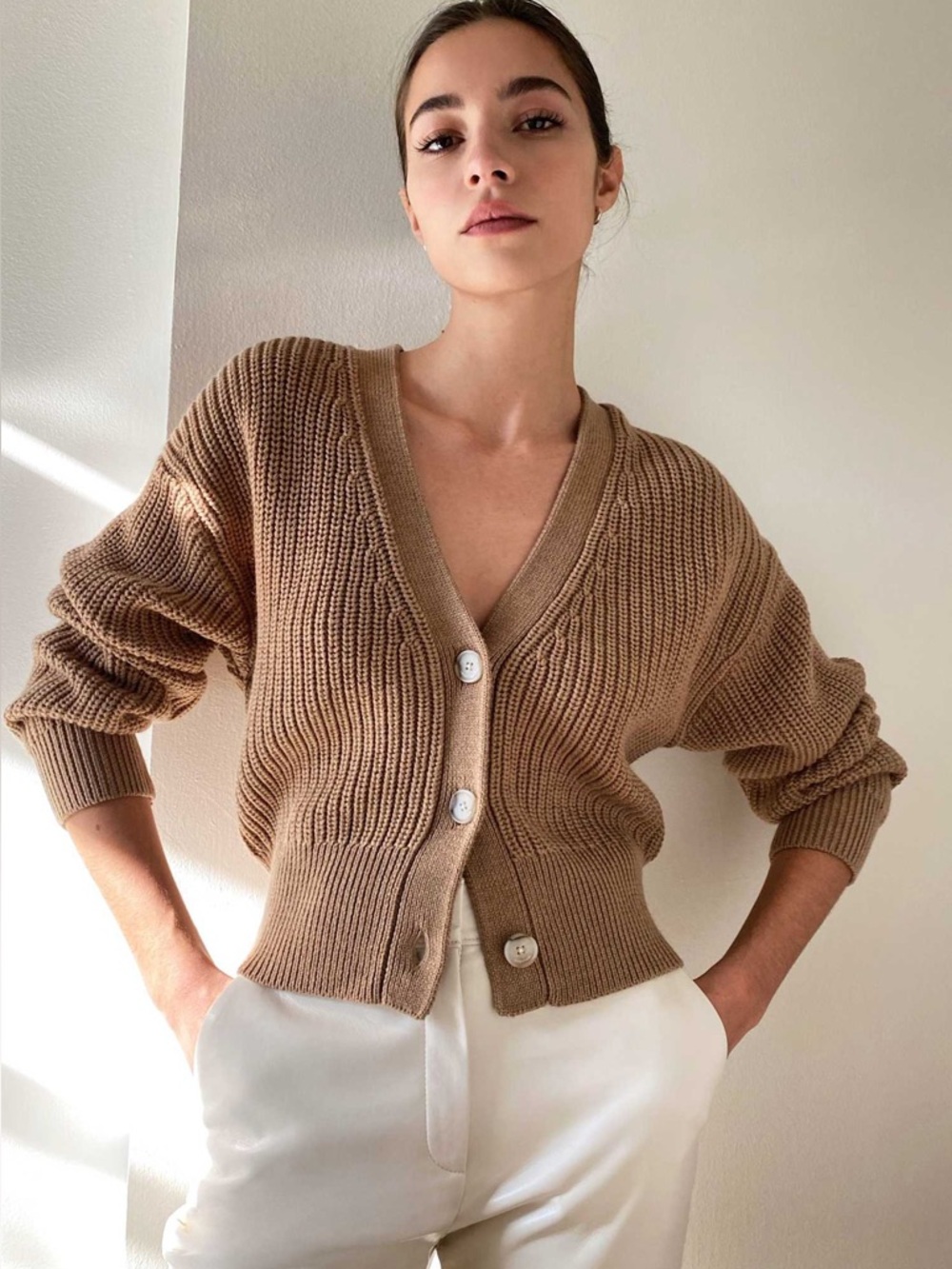 Aritzia Babaton Canberra 100% Merino Wool Dark Sand Brown V-Neck Button Cardigan